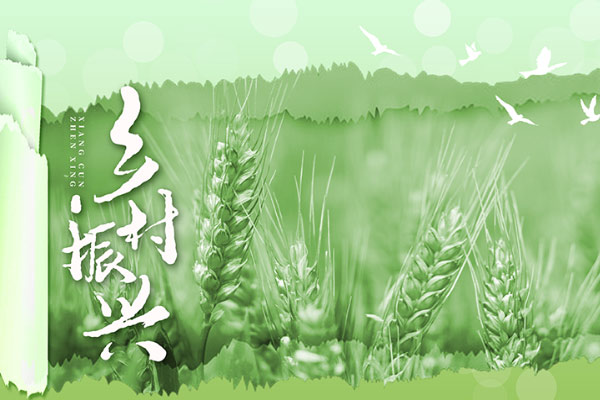 沈陽市人民政府辦公室關于印發(fā)沈陽市2023年工程建設項目審批制度改革實施方案的通知（沈政辦發(fā)〔2023〕12號）