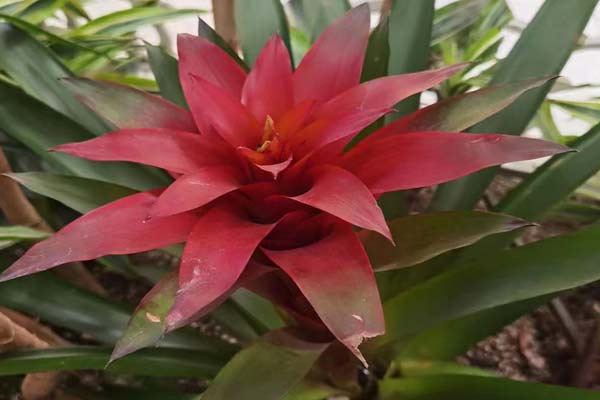 沈陽消防施工 沈陽消防施工